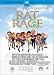 DVD : Rat Race (Special Collector's Edition)