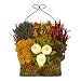 Herb Garden Bow Basket - 15
