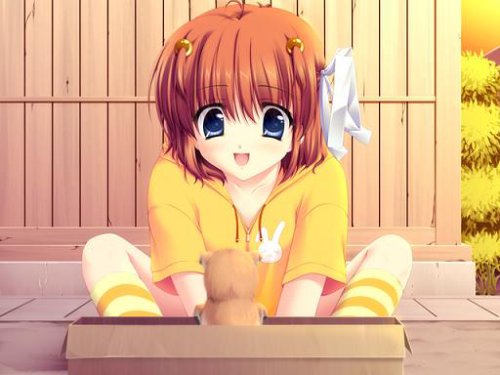 _summer##(アンダーバーサマー ダブルシャープ)(初回限定版)
