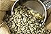 Peru Approcassi Cajamarca Fair Trade Shade Grown Organic Coffee Beans (Light Roast (City), 3 Pounds Whole Beans)
