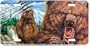 Grizzly Roar - Bears - Wildlife Decor Art Print - License Plate Tag By Leah Begin From Airstrike