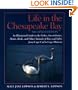 Life in the Chesapeake Bay