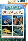 Reef Fishes and...