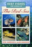 Reef Fishes and Corals of the Red Sea