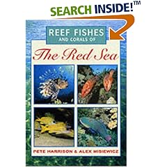 Reef Fishes and Corals of the Red Sea