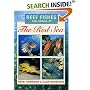 Reef Fishes and Corals of the Red Sea