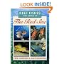 Reef Fishes and Corals of the Red Sea