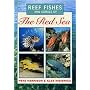 Reef Fishes and Corals of the Red Sea