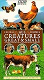 All Creatures Great & Small: Golden Lads & Girls/Advice and Consent (Series 1, Volume 4) [VHS]