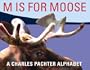 M Is For Moose: A Charles Pachter Alphabet