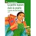 La Petite Maison dans la prairie, tome 6 : La Petite Ville dans la prairie