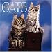 maine_coon28maine coon - Maine Coon Cats 2006 Calendar