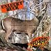 Unlucky Buck