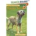 BORDER TERRIER (Pet Owner's Guide)