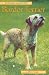 Pet Owner's Guide to Border Terriers (Pet Owner's Guides)