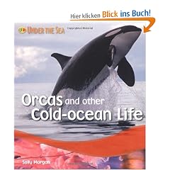 Orcas and Other Cold Ocean Life (Under the Sea)
