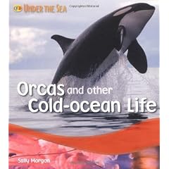 Orcas and Other Cold Ocean Life