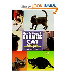 Guide to Owning a Burmese Cat