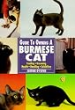 Guide to Owning a Burmese Cat