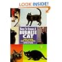 Guide to Owning a Burmese Cat