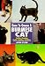   - Guide to Owning a Burmese Cat (Guide to Owning)