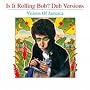 Is It Rolling Bob: Dub Versions: Visions of Jamaica