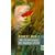 Die Verwirrungen des Z�glings T�rle�
