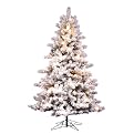 Prelit Flocked Mesabi - White/ Green