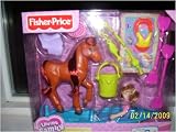 Fisher Price Loving Family Summer Fun