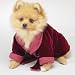 SMALL - Luxury Velvet Doggy Smoking Jacket