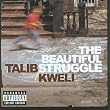 The Beautiful Struggle