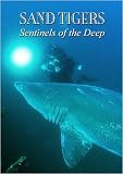 Sand Tigers - Sentinels of the Deep