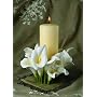 Calla Lily Pillar Candle Holder Ibis & Orchid Designs