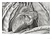 Anterior Surface of Heart Cardiology Nerves Giclee Poster Print, 16x12