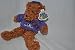 MLB Team Arizona Diamondbacks special fabric hoody Teddy Bear