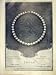 Advert Tecla Pearls Necklace Jewellery Old Print 1911