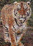 More Photomosaic Tiger Jigsaw Puzzle 513pc