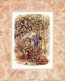 IMAGE OF Apple Orchard HIGH QUALITY MUSEUM WRAP CANVAS Print Jerianne Van Dijk 16x20
