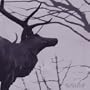 A Desolation Song