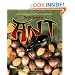 Ant (Life Cycle of A...)