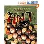 The Life Cycle of an Ant