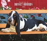 Basset Hounds, For the Love of 2008 Deluxe Wall Calendar