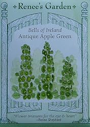 Heirloom Bells of Ireland Antique Apple Green Seeds