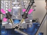 ������ ɬ���ץ��Υ��塼�˥󥰥ƥ� vol.1���결ɬ�� ���󥸥���塼�˥��� (1WeekDVD)