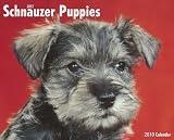 Just Schnauzer Puppies 2010 Calendar
