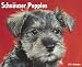 schnauzer1 - Just Schnauzer Puppies 2010 Calendar