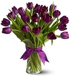Floral 20 Purple Tulips - Premium Floral 20 Purple Tulips - Premium