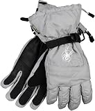 Spyder Men's Fanatic Gore-Tex Glove