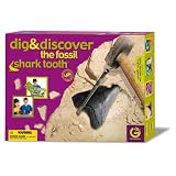 Replica Sharks Teeth -Dig and Discover