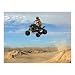 ATV Wall Mural - 8x10.5'